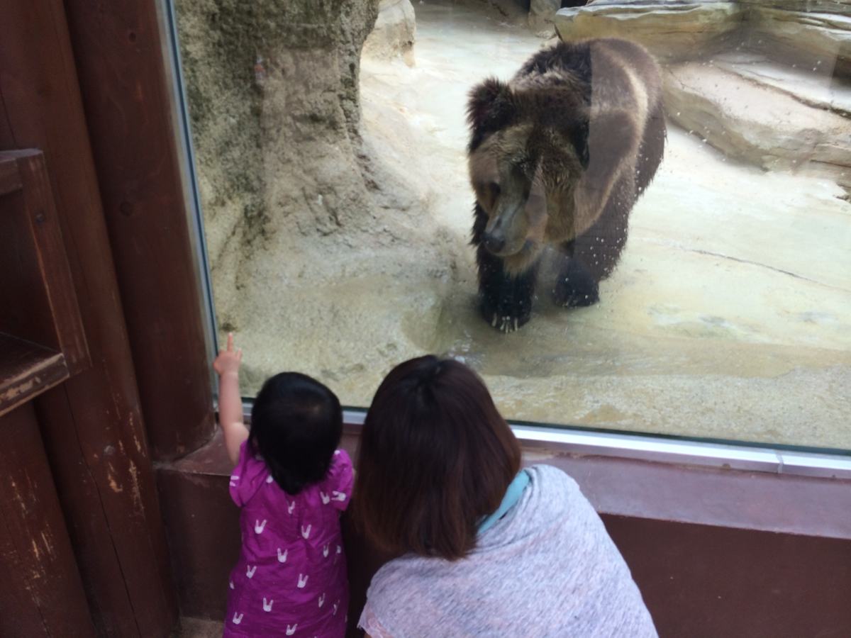 王子動物園動物のクマ