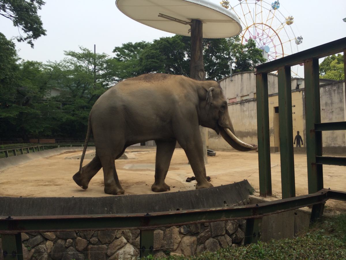 王子動物園動物の像