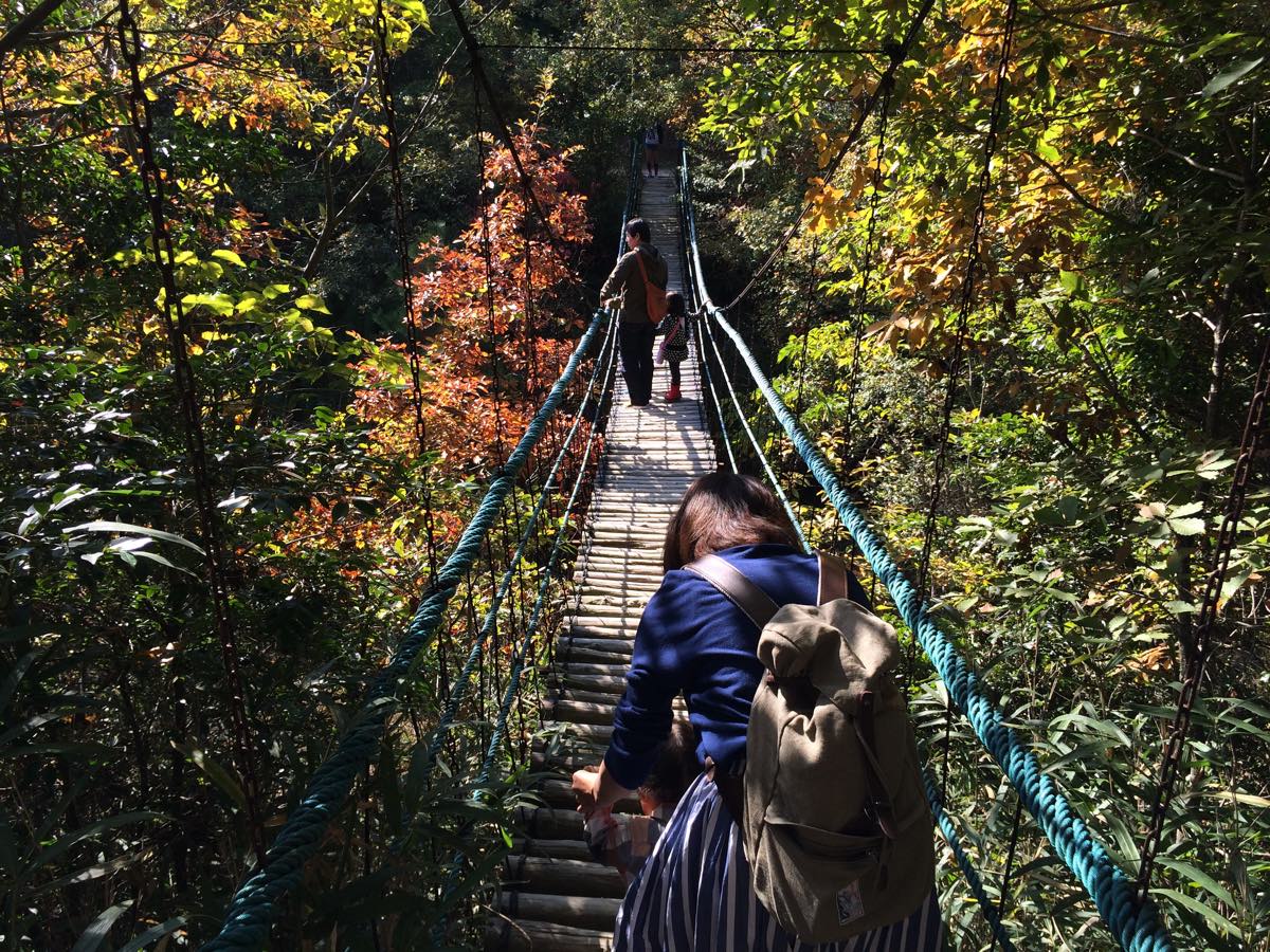 渋川動物公園の吊り橋